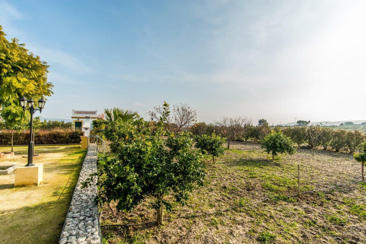 Vivienda Rural Olivar De San Telmo Arcos de la Frontera Luaran gambar