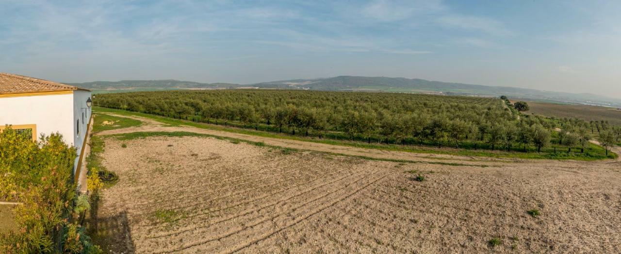 Vivienda Rural Olivar De San Telmo Arcos de la Frontera Luaran gambar