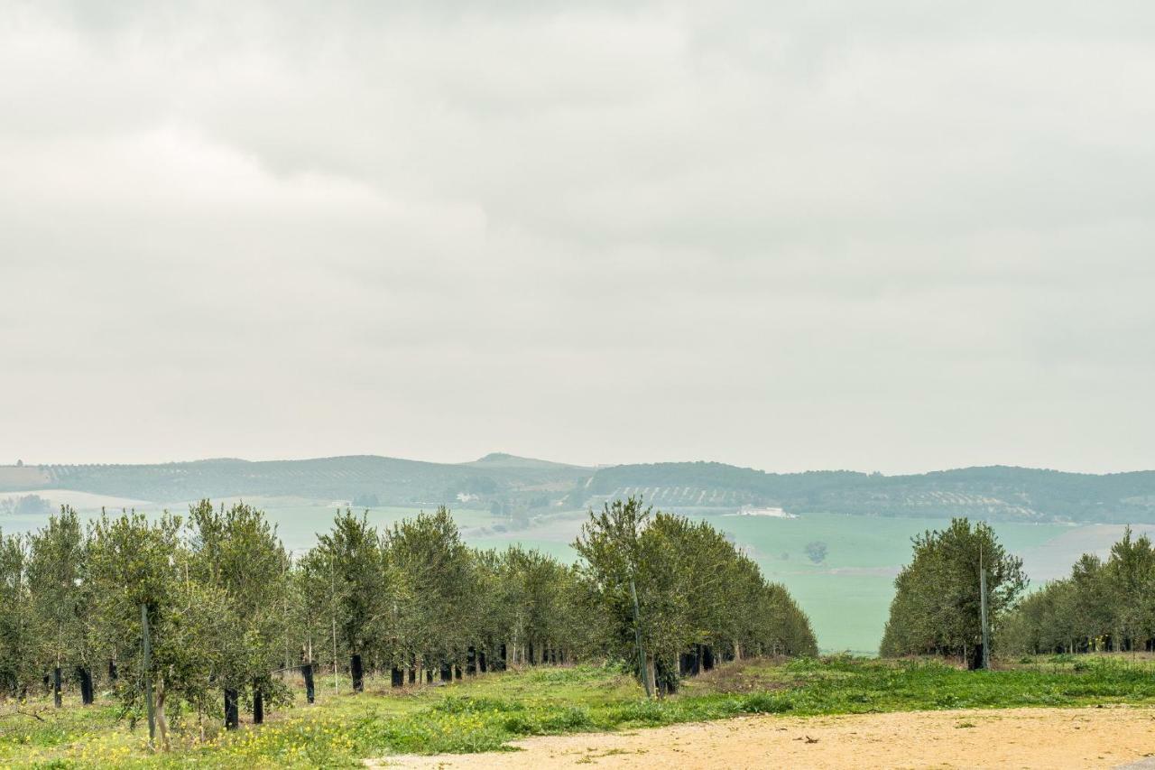 Vivienda Rural Olivar De San Telmo Arcos de la Frontera Luaran gambar