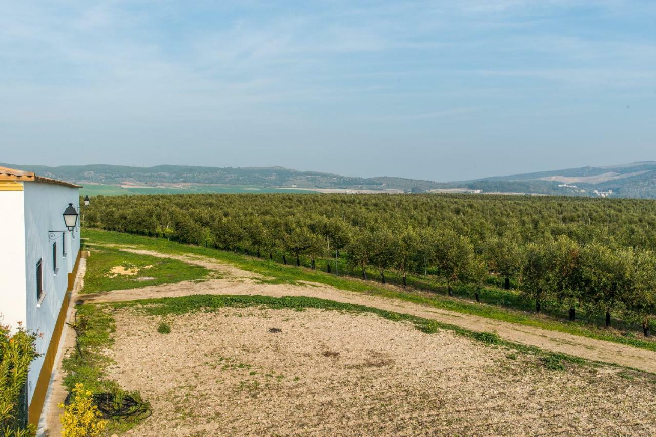 Vivienda Rural Olivar De San Telmo Arcos de la Frontera Luaran gambar