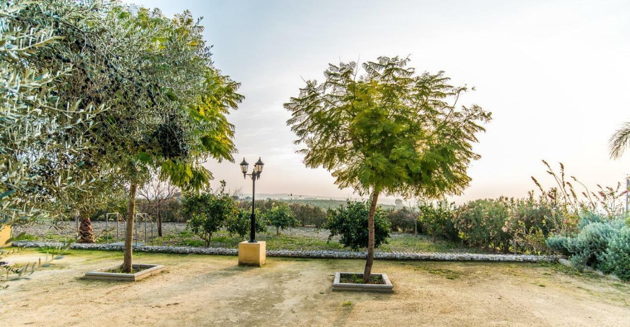 Vivienda Rural Olivar De San Telmo Arcos de la Frontera Luaran gambar